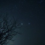wpid-Photo-05.02.2013-2102.jpg